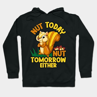 Nut Today Funny Chipmunk With An Attitude Great For Cranky Animal Lover Hoodie